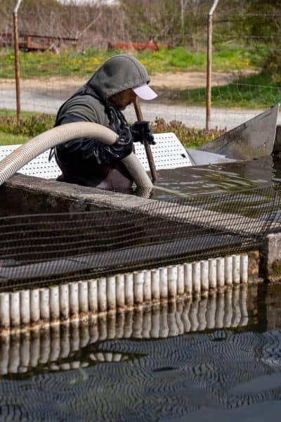 Technician cleaning and maintaining a concrete stormwater drainage system to improve water flow