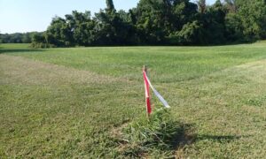 Property line stake marker yard - ALTA SURVEY Dallas A wooden stake with survey ribbons marking the property line during a boundary survey in a grassy yard