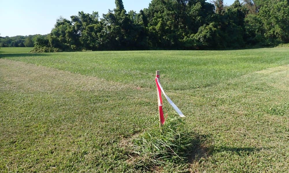 A wooden stake with survey ribbons marking the property line during a boundary survey in a grassy yard