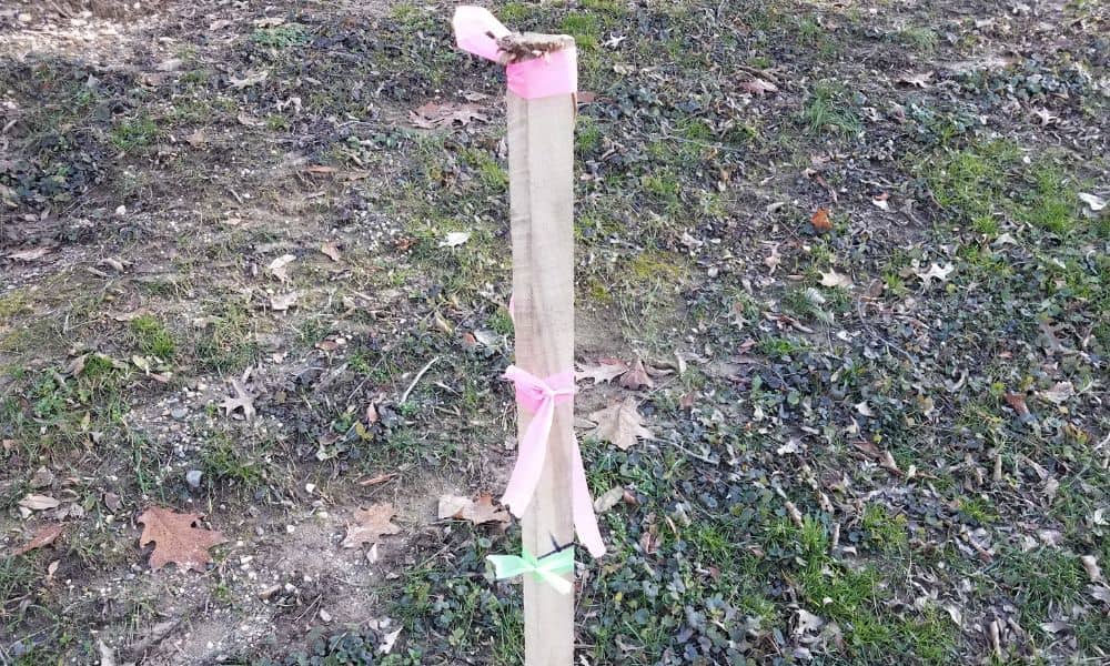 Wooden survey stake with colored flagging tape marking a boundary during a lot survey